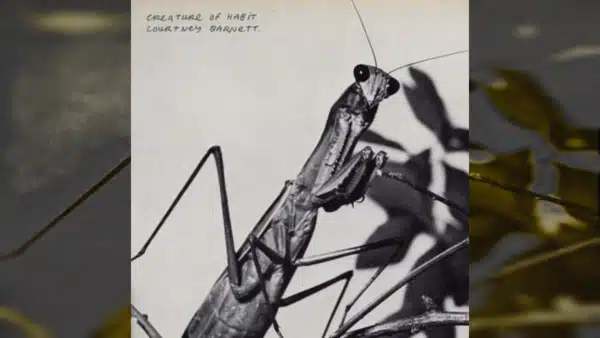 Courtney Barnett - Creature of Habit record cover (Mom + Pop Records)